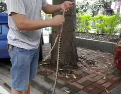 男生剥完皮到底什么样,男生蜕变之旅全记录