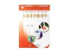 人体美学解剖学,探索形态与美学的奥秘
